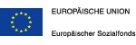 Europäischer Sozialfonds
